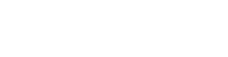 Strapi Logo